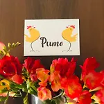 Le Comari Di Bari B&B